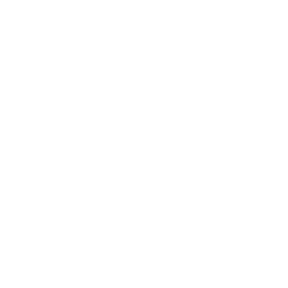 Forever Lovers